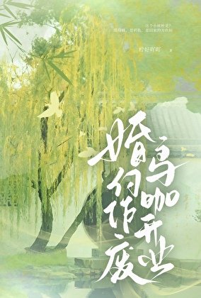 婚约作废,鸟咖开业