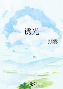 《诱光》