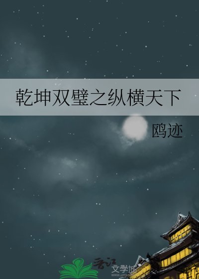 乾坤双璧之纵横天下