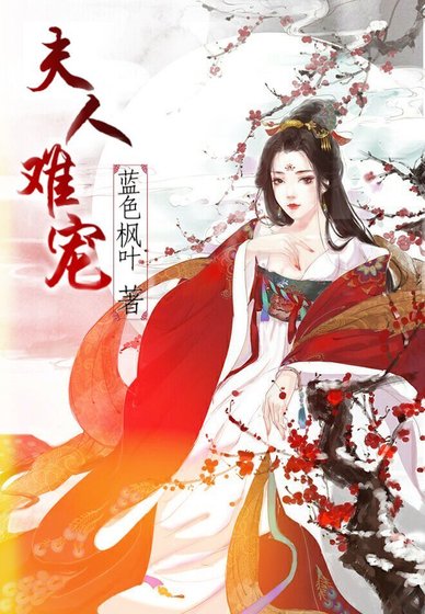 《夫人难宠》