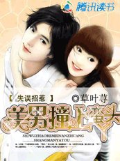 《失误招惹:美男撞上蛮丫头》